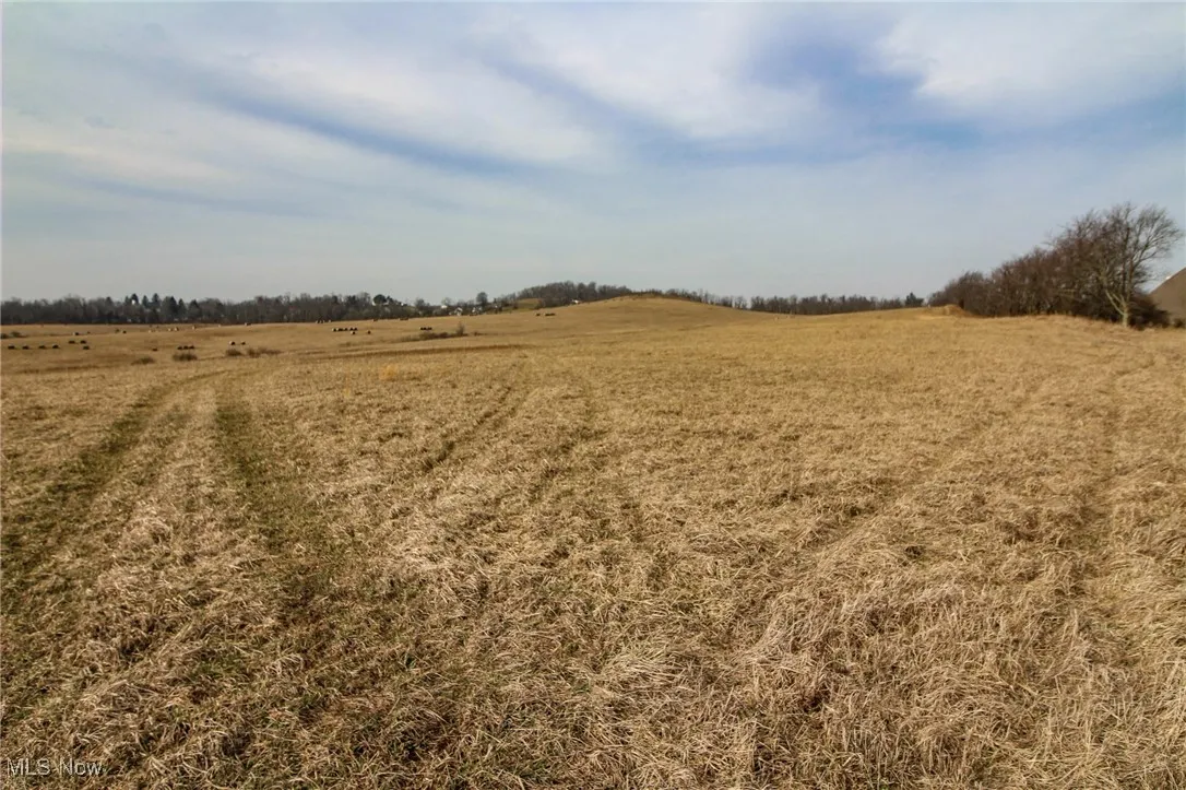 View of local wilderness featuring a rural view