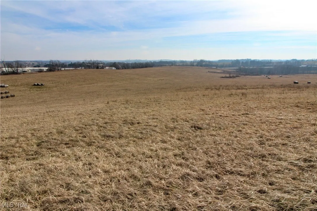 View of local wilderness with a rural view