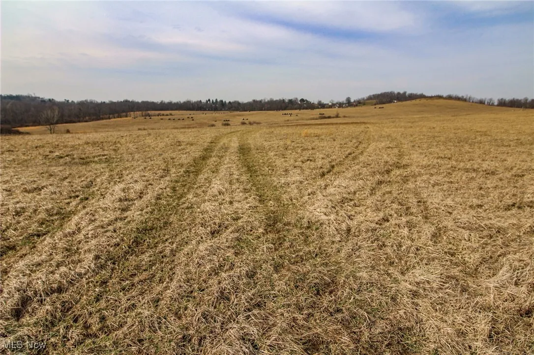 View of local wilderness with a rural view