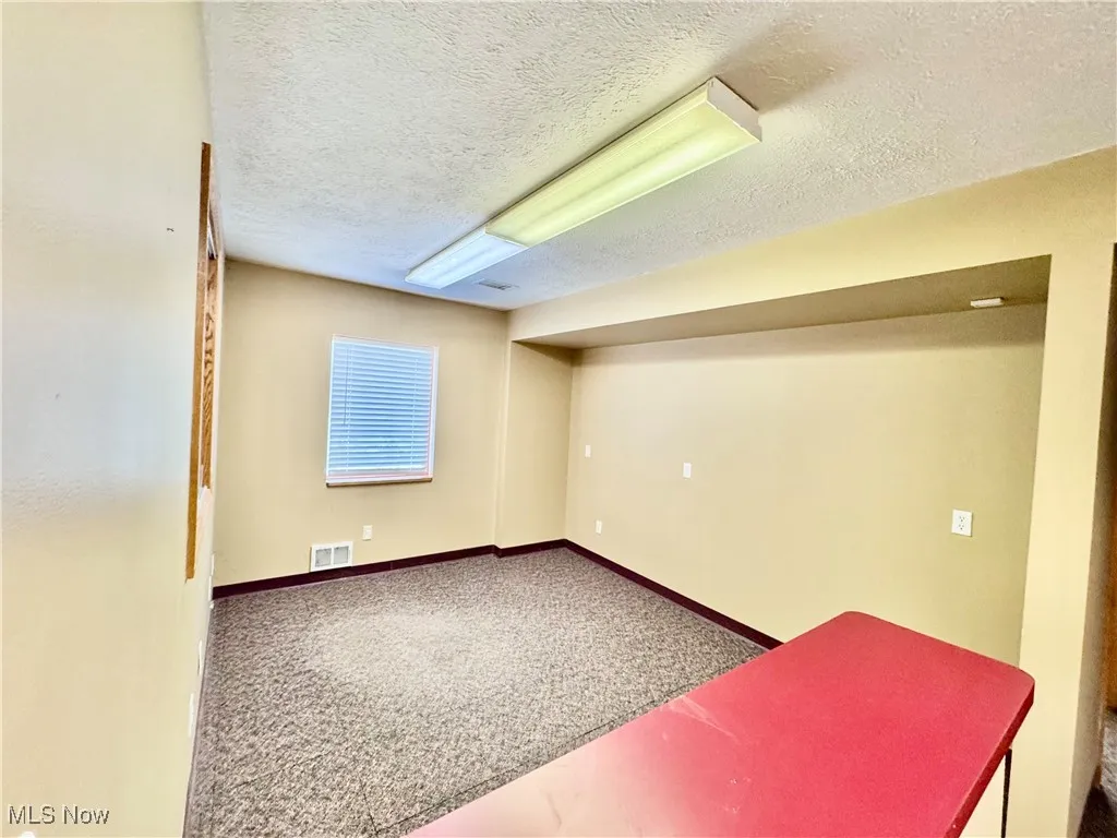 Basement featuring carpet flooring and a textured ceiling