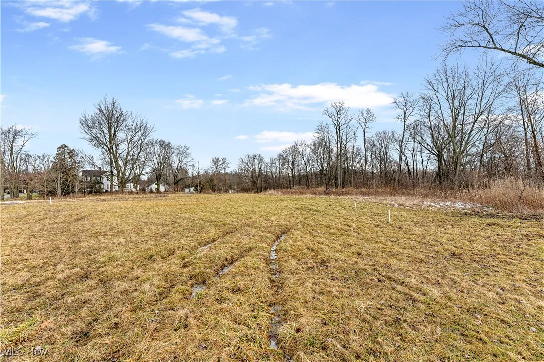 View of yard with a rural view
