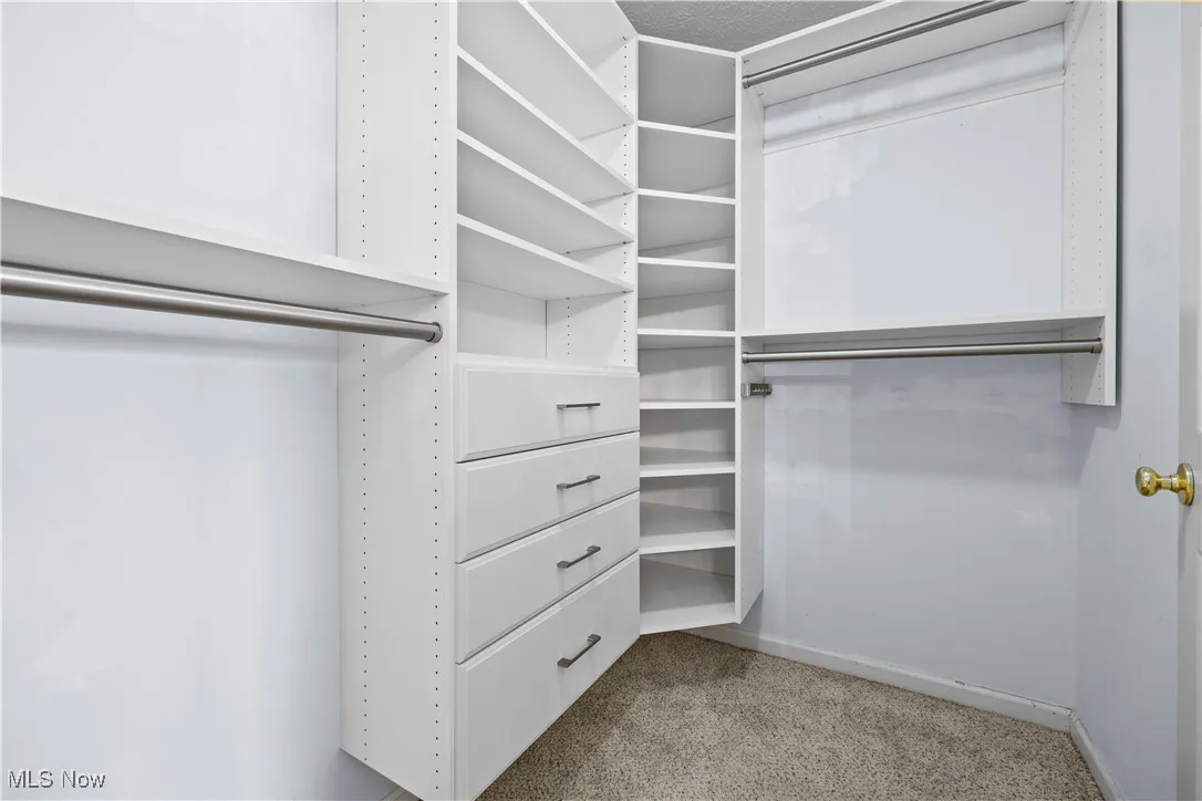 Walk in closet featuring light carpet
