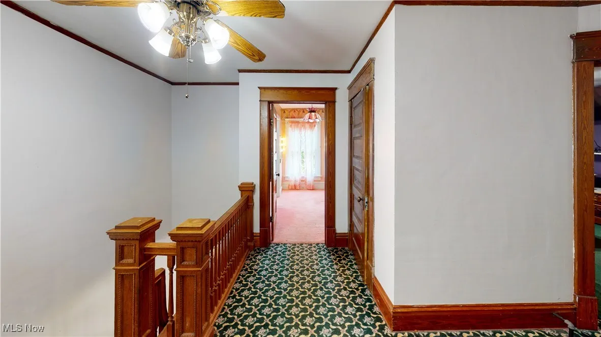 Hall with crown molding and carpet floors
