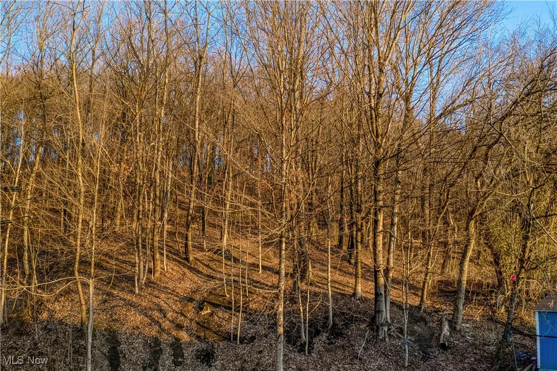 View of landscape