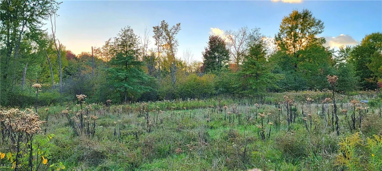 SL3 Chamberlin Road, Twinsburg, Ohio,MLS Now Listing ID