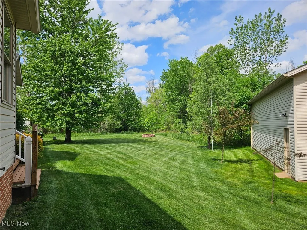 View of green lawn