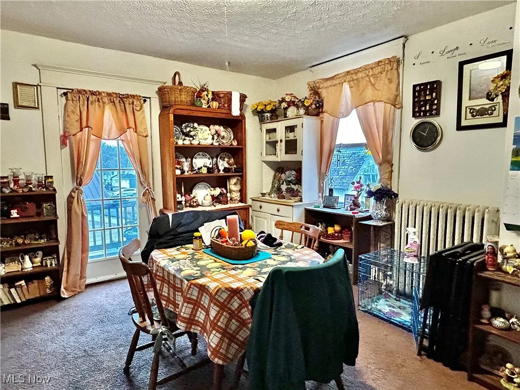 Dining area with radiator, a textured ceiling, and carpet flooring