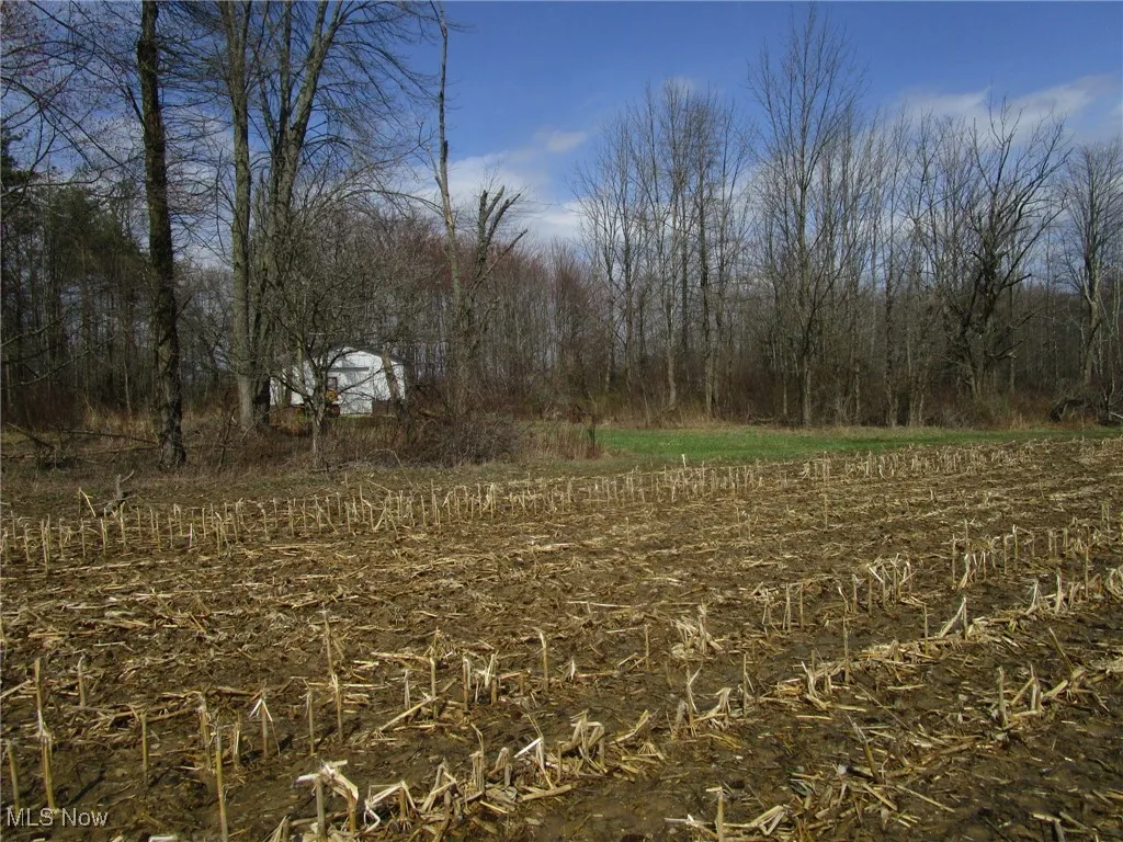 4381 Higley Road, Rome, Ohio 44085,MLS Now Listing ID