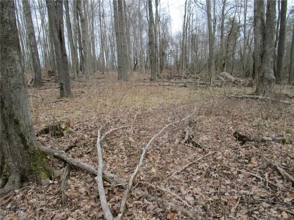 4381 Higley Road, Rome, Ohio 44085,MLS Now Listing ID