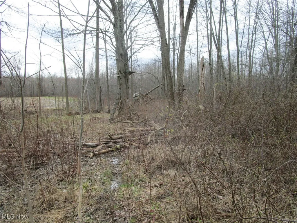 4381 Higley Road, Rome, Ohio 44085,MLS Now Listing ID