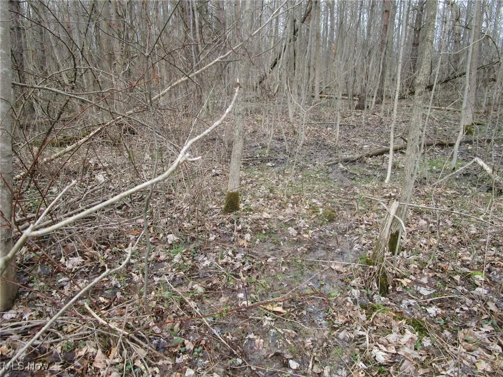 4381 Higley Road, Rome, Ohio 44085,MLS Now Listing ID