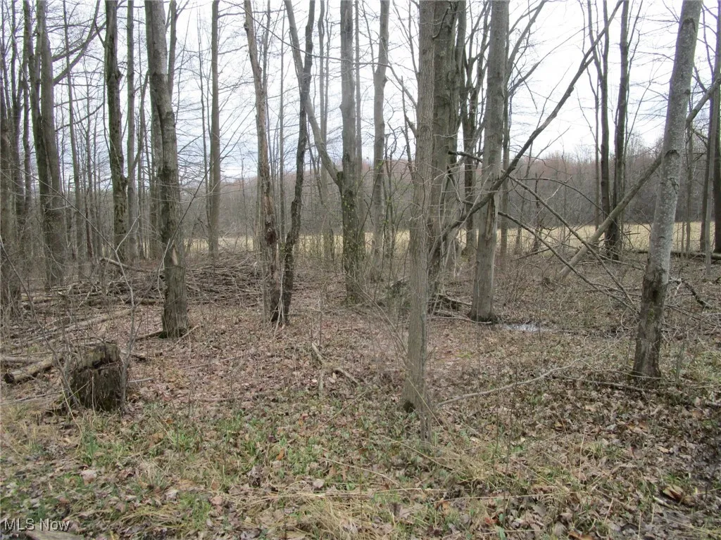 4381 Higley Road, Rome, Ohio 44085,MLS Now Listing ID