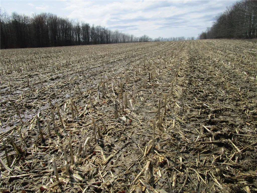 4381 Higley Road, Rome, Ohio 44085,MLS Now Listing ID