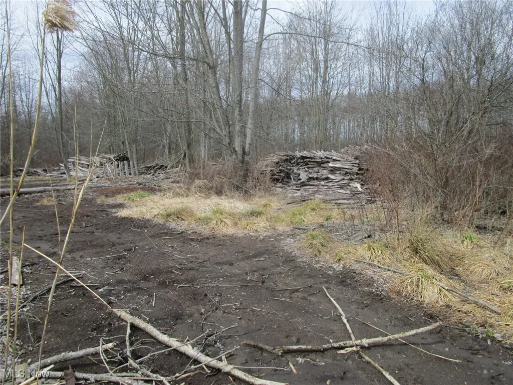 4381 Higley Road, Rome, Ohio 44085,MLS Now Listing ID