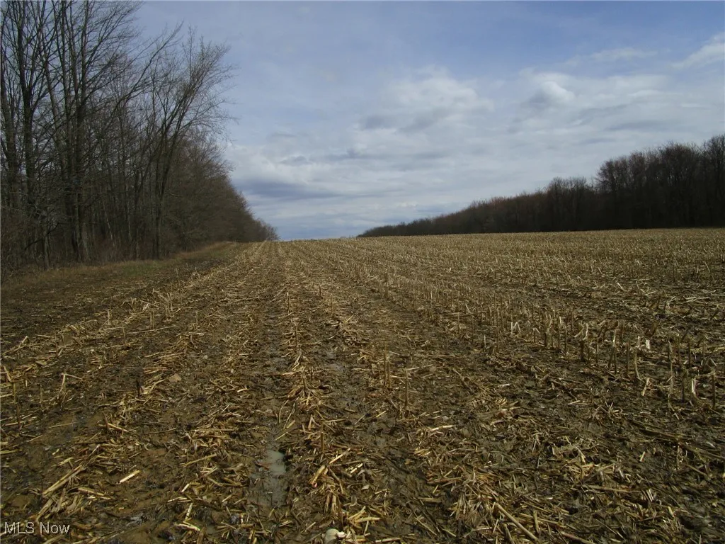 4381 Higley Road, Rome, Ohio 44085,MLS Now Listing ID