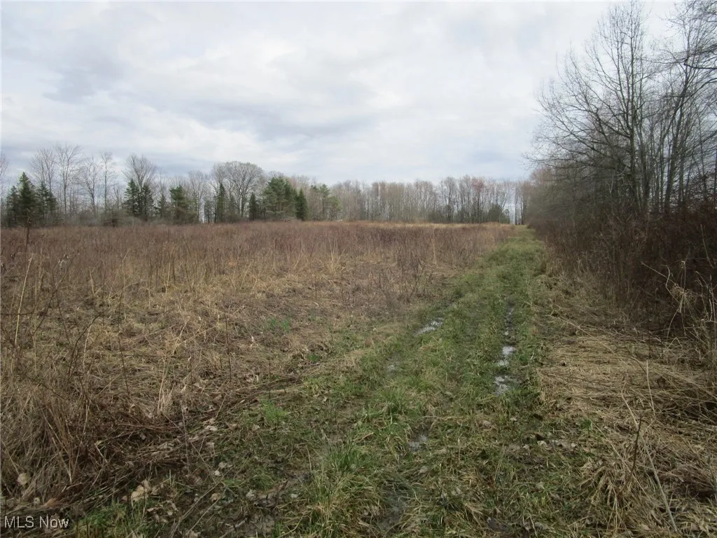 4381 Higley Road, Rome, Ohio 44085,MLS Now Listing ID