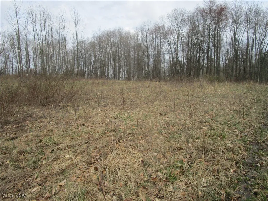 4381 Higley Road, Rome, Ohio 44085,MLS Now Listing ID