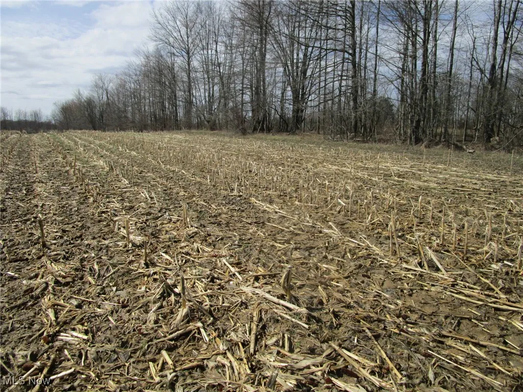 4381 Higley Road, Rome, Ohio 44085,MLS Now Listing ID