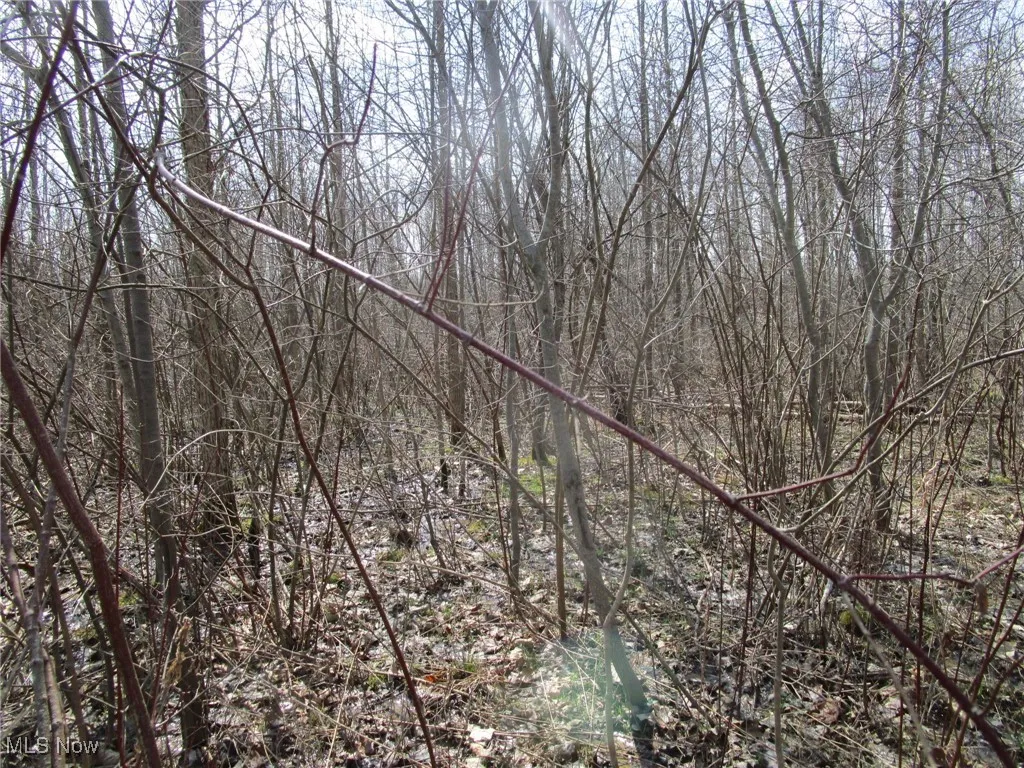 4381 Higley Road, Rome, Ohio 44085,MLS Now Listing ID