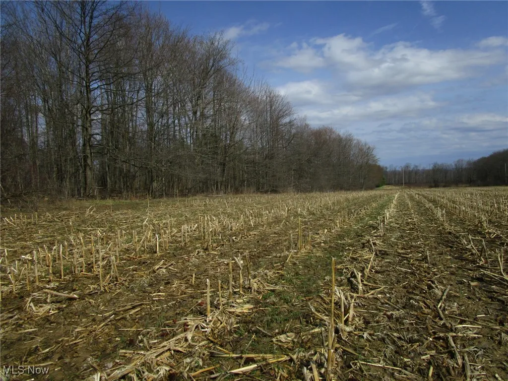 4381 Higley Road, Rome, Ohio 44085,MLS Now Listing ID