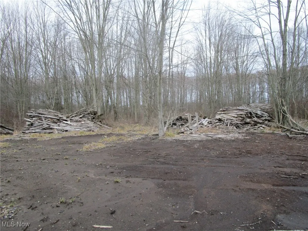 4381 Higley Road, Rome, Ohio 44085,MLS Now Listing ID