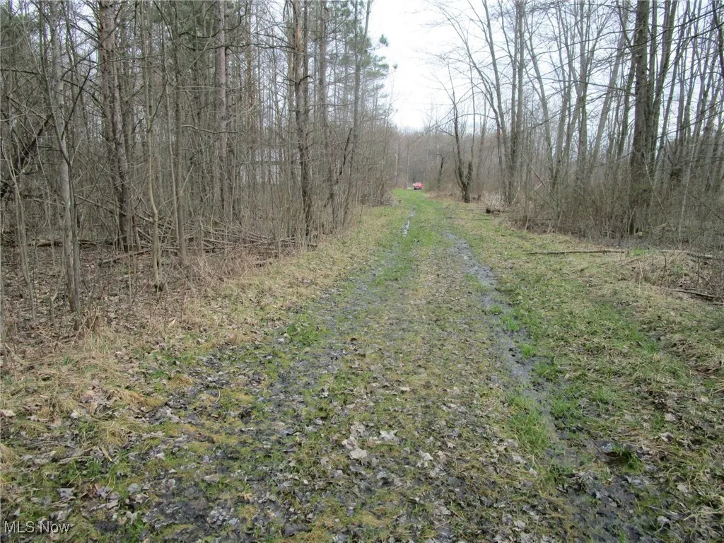 4381 Higley Road, Rome, Ohio 44085,MLS Now Listing ID