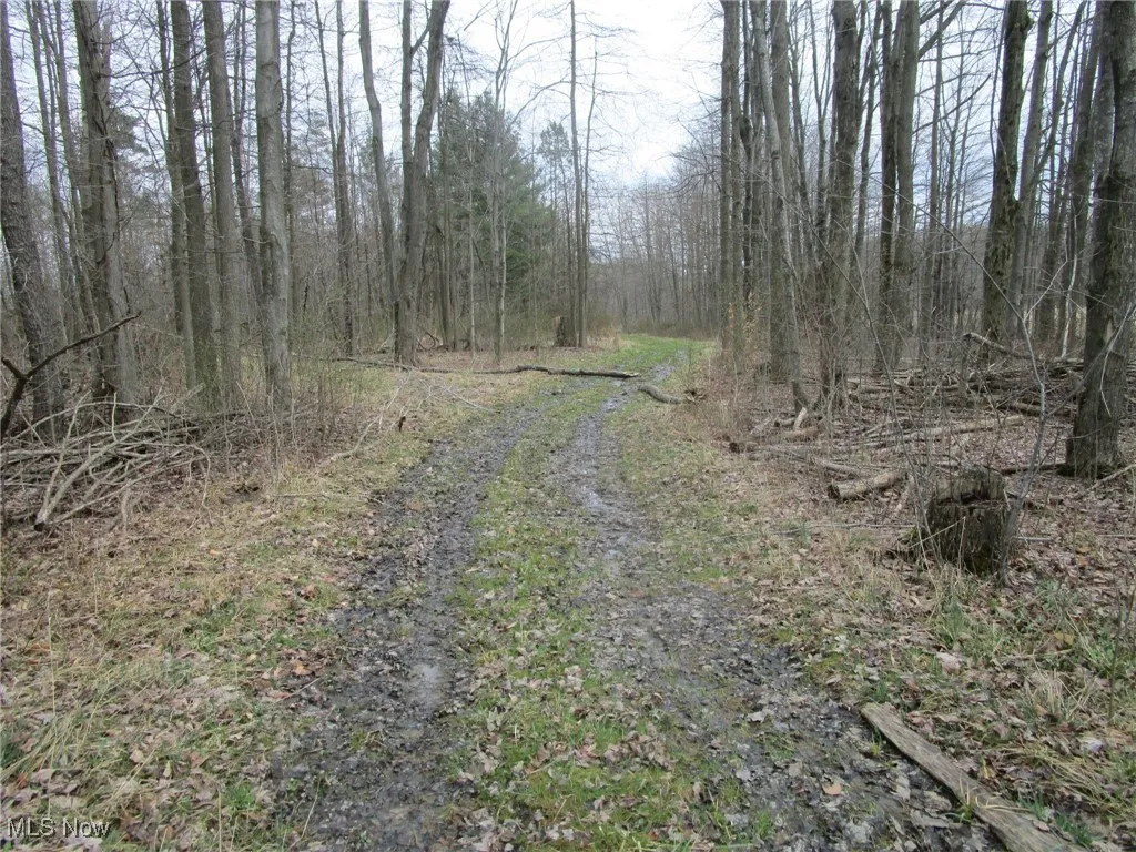 4381 Higley Road, Rome, Ohio 44085,MLS Now Listing ID