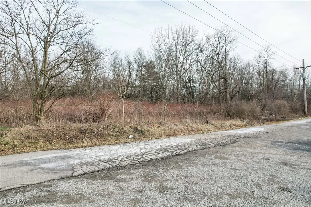 View of road
