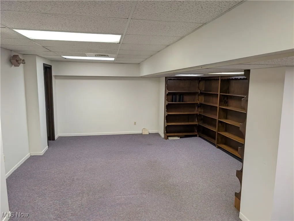 Basement featuring a drop ceiling and carpet floors.