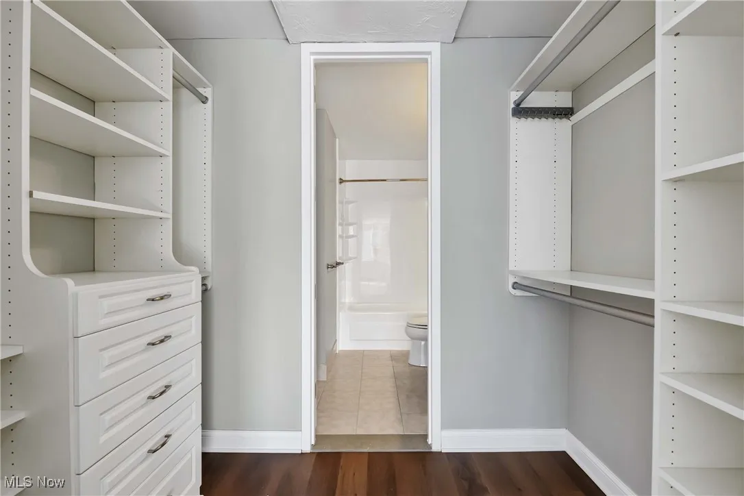 Spacious closet featuring dark hardwood / wood-style flooring