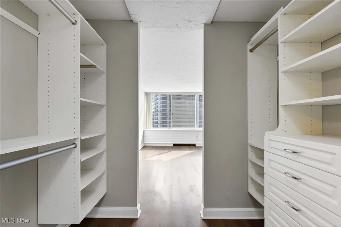 Walk in closet with dark hardwood / wood-style floors