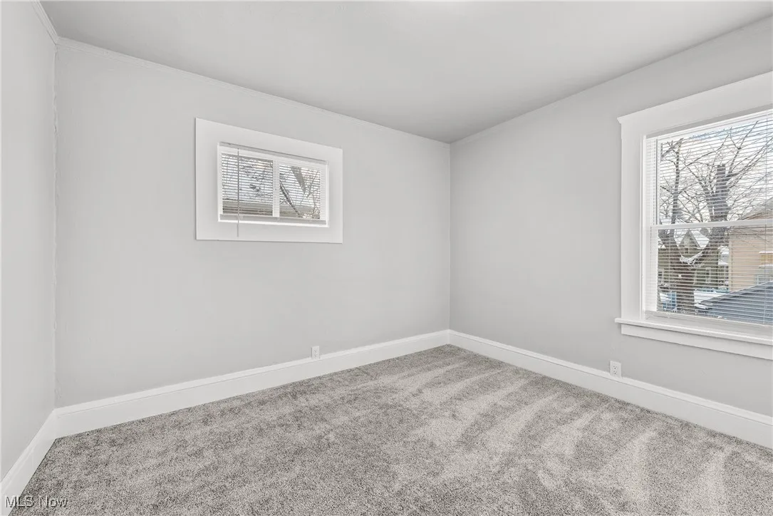 Carpeted spare room featuring ornamental molding and a healthy amount of sunlight