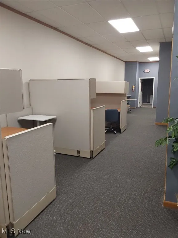 Office with dark colored carpet and a paneled ceiling