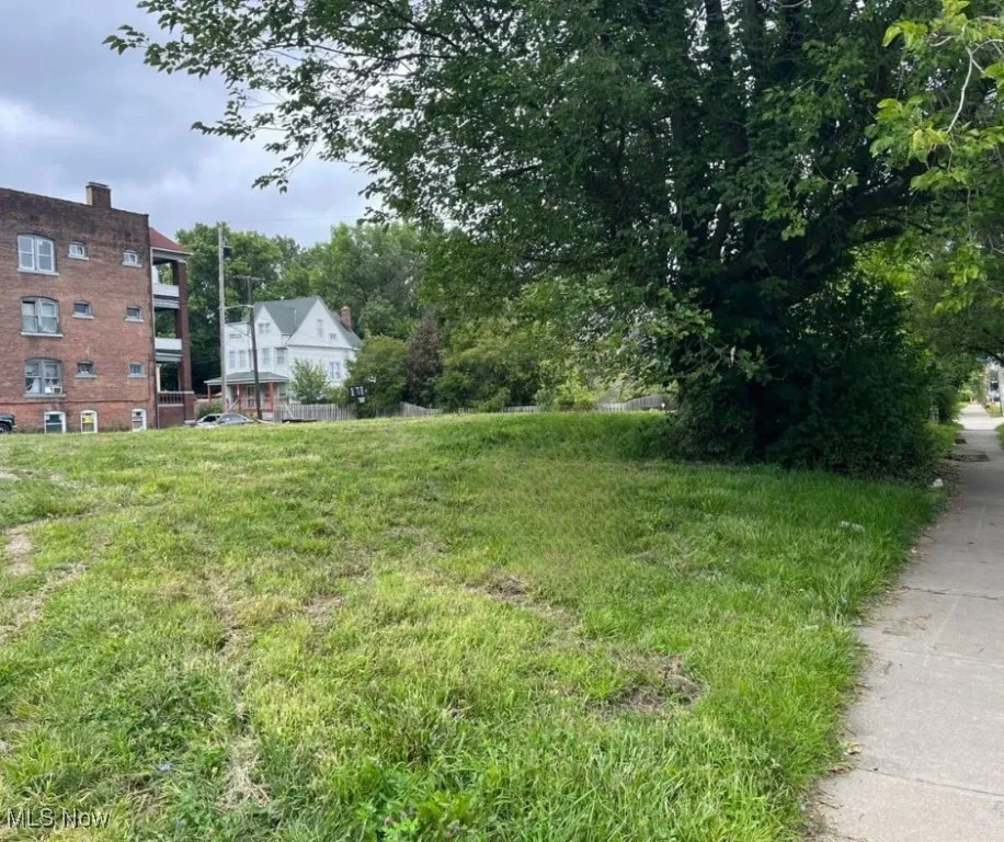Lot View