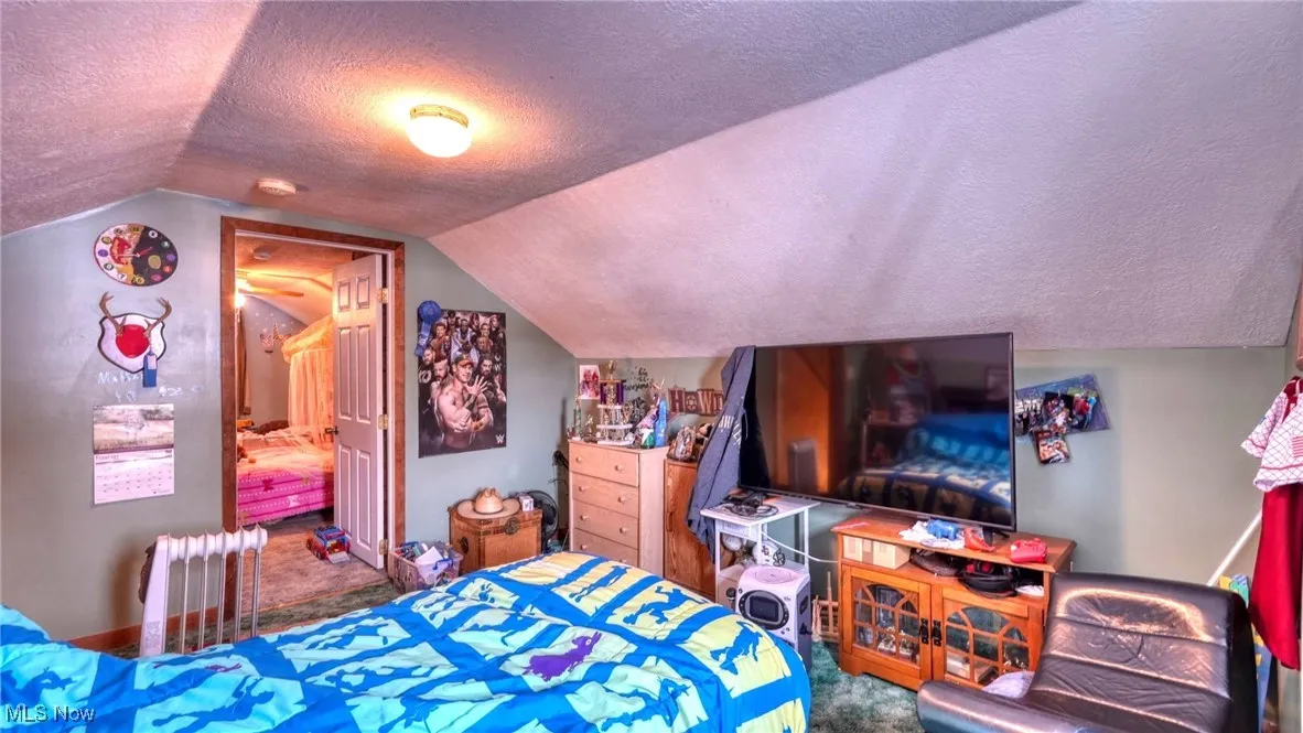 Carpeted bedroom with vaulted ceiling, and a textured ceiling