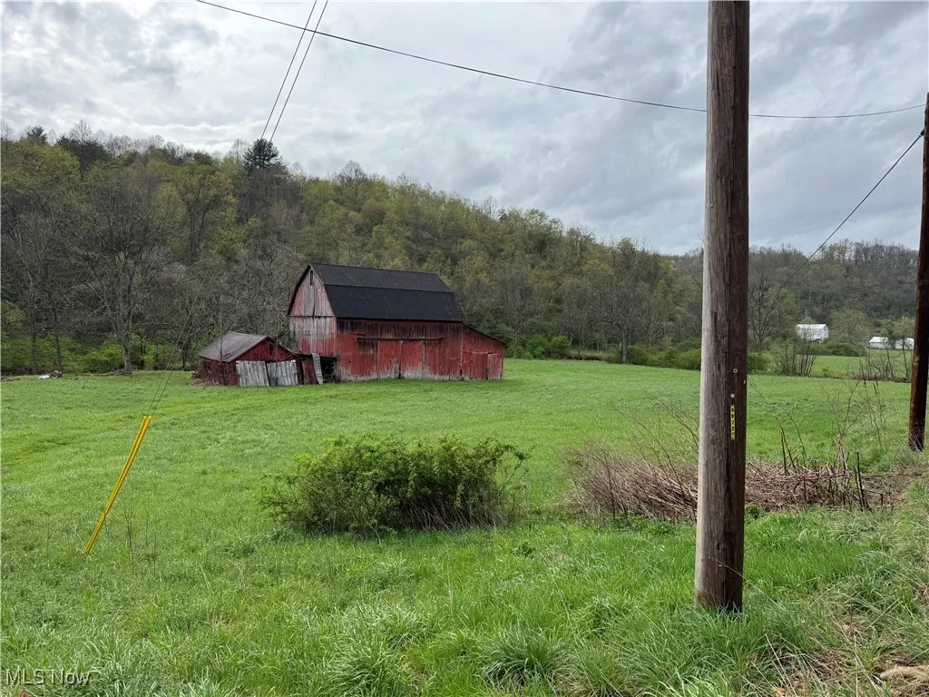 35515 State Route 800, Sardis, Ohio 43946,MLS Now Listing ID