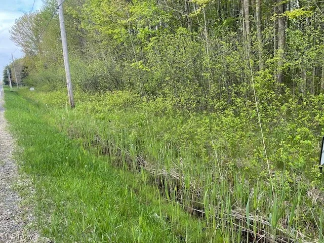 View of undeveloped land