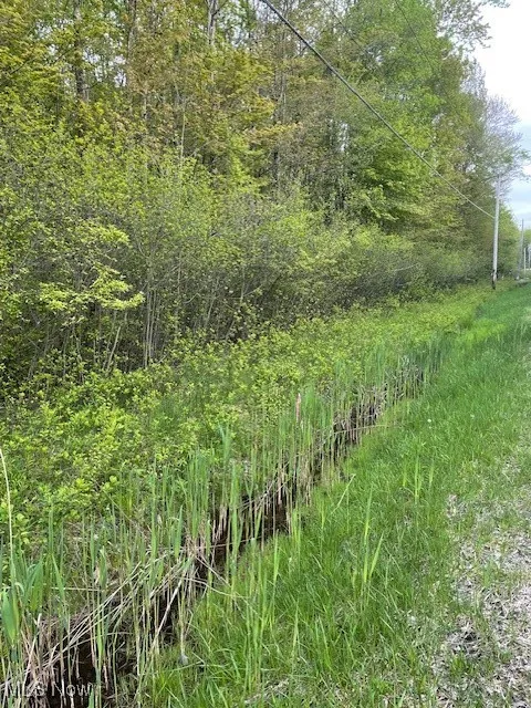 View of undeveloped land