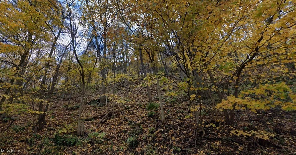 View of local wilderness featuring a wooded view