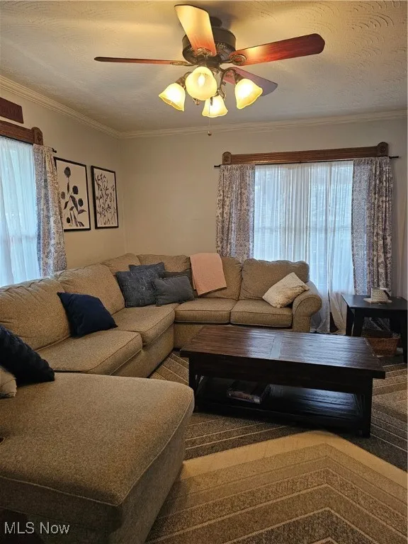Living area featuring ceiling fan, ornamental molding, and a textured ceiling