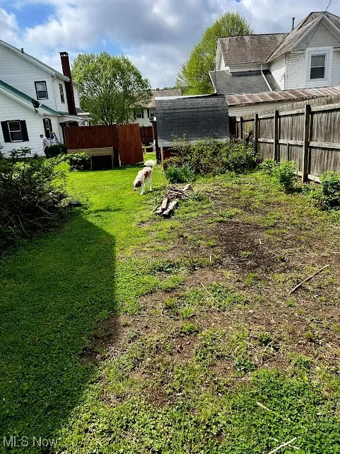 Garden area with mature berry bushes