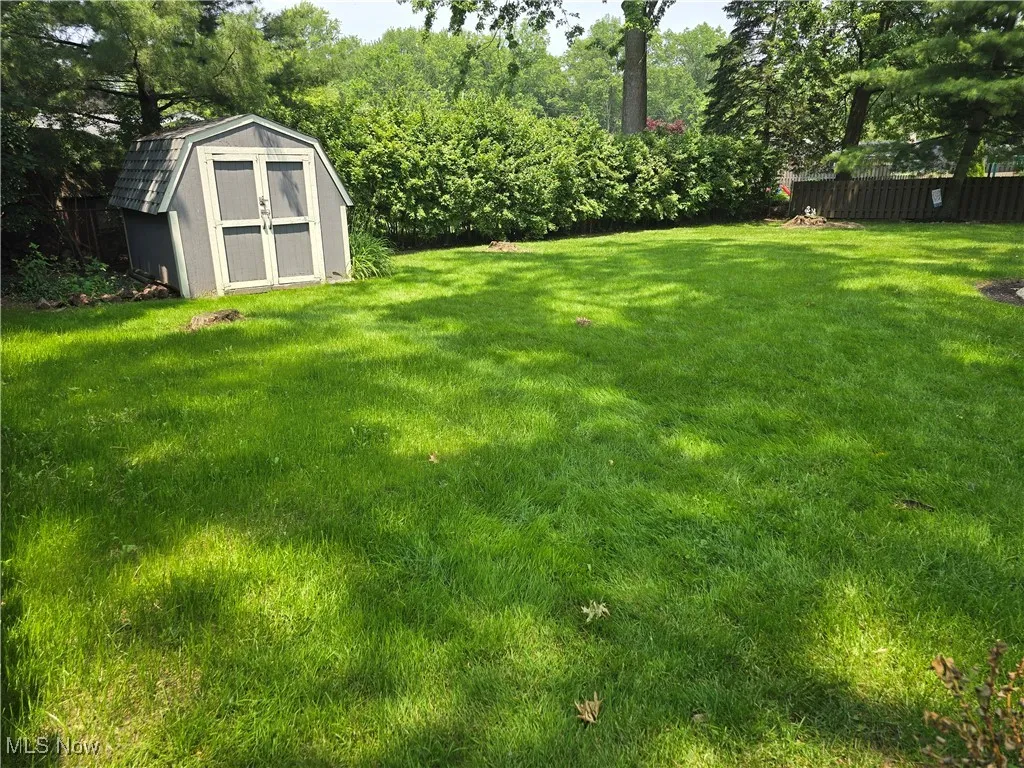 View of yard with a shed