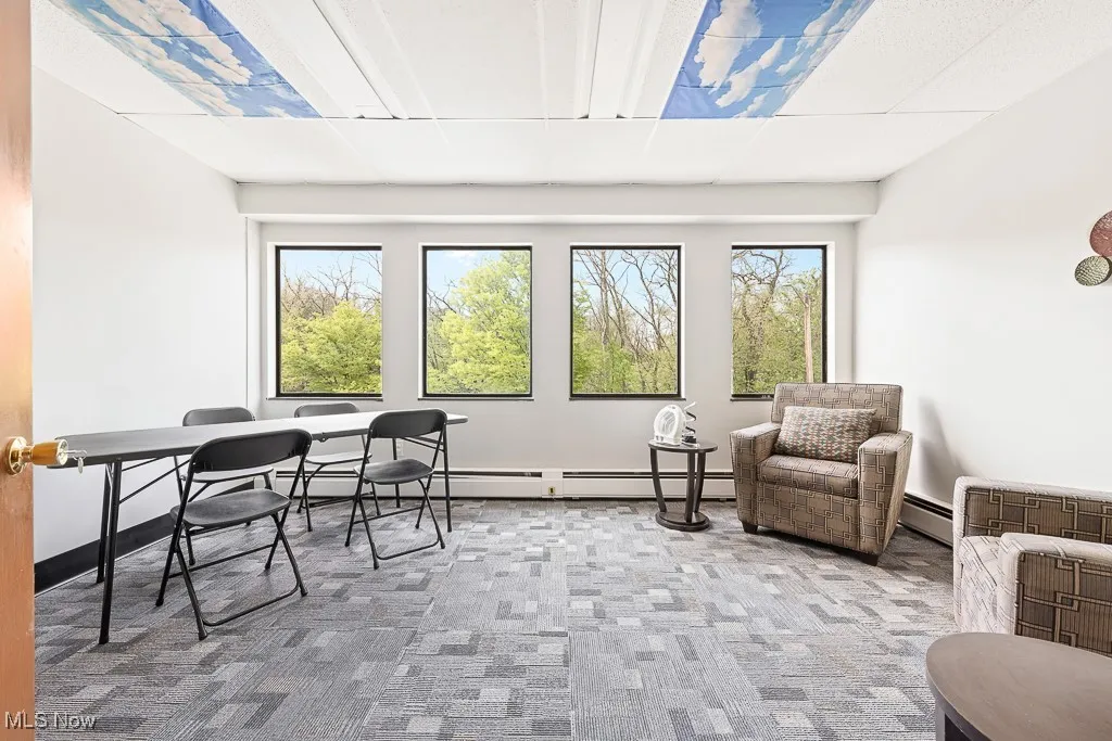 Sunroom featuring a baseboard radiator