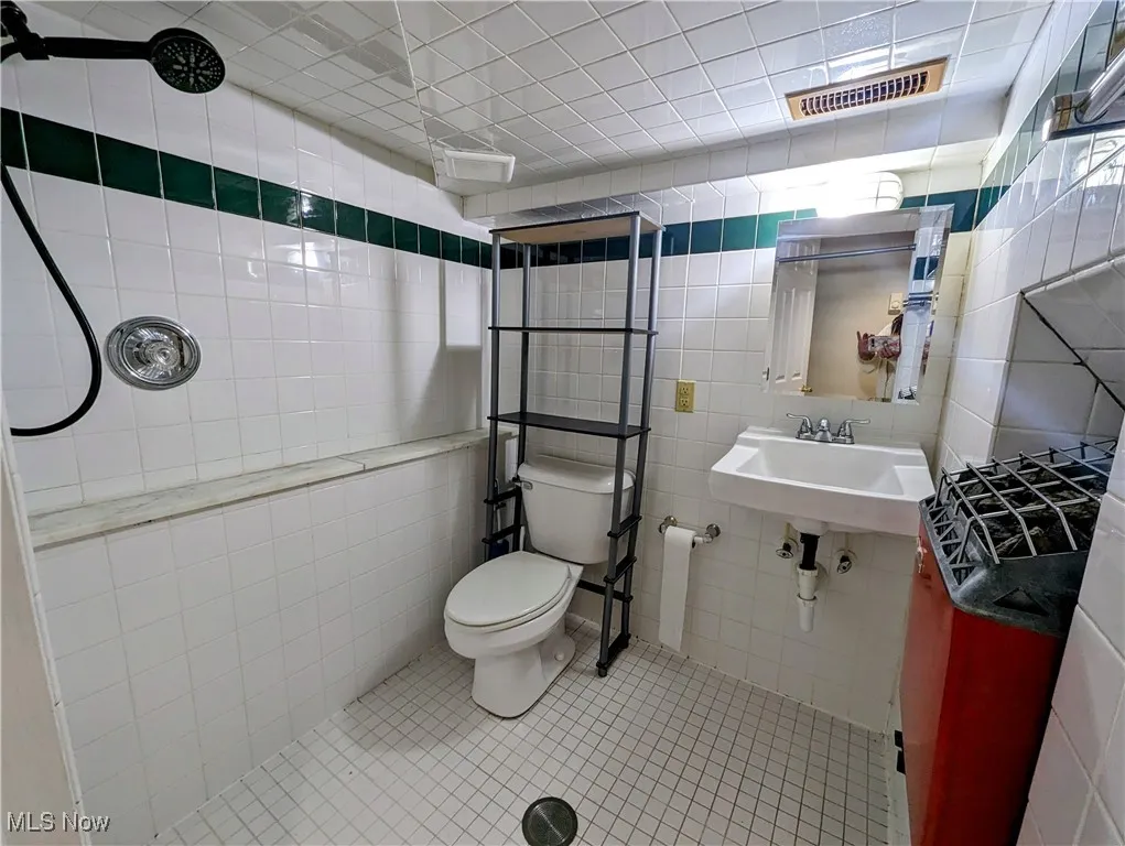 Lower level bathroom