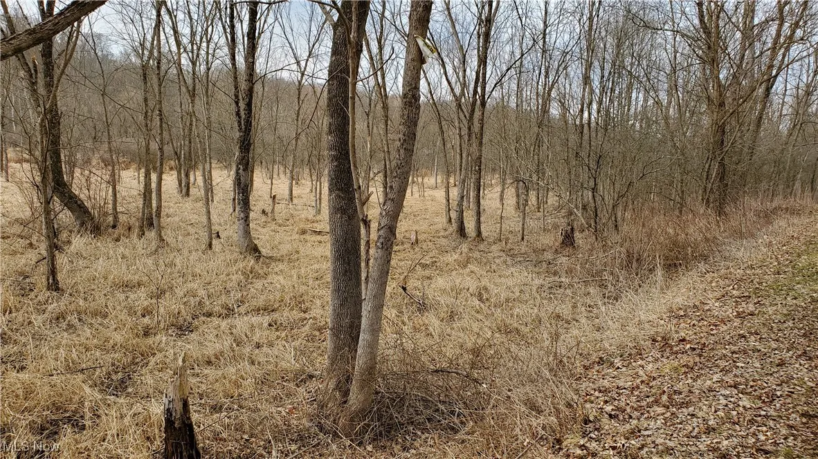 View of nature