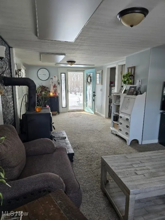 Carpeted living area with a wood stove