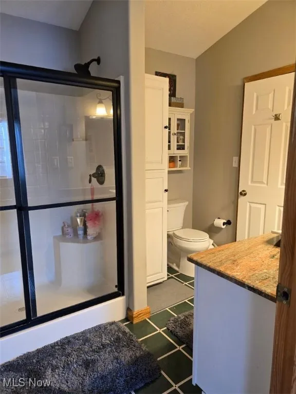 Full bathroom featuring toilet, a shower stall, vaulted ceiling, and vanity