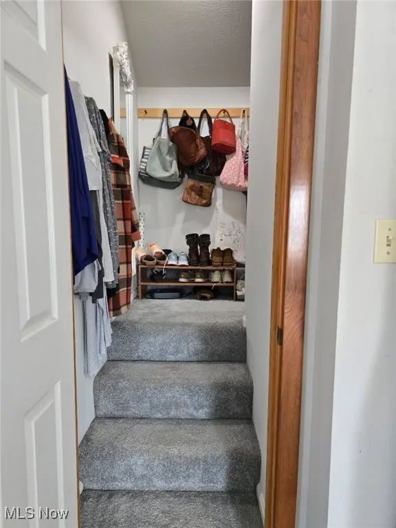 View of mudroom