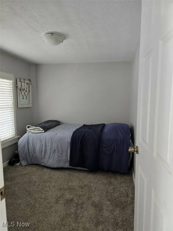 Carpeted bedroom with a textured ceiling
