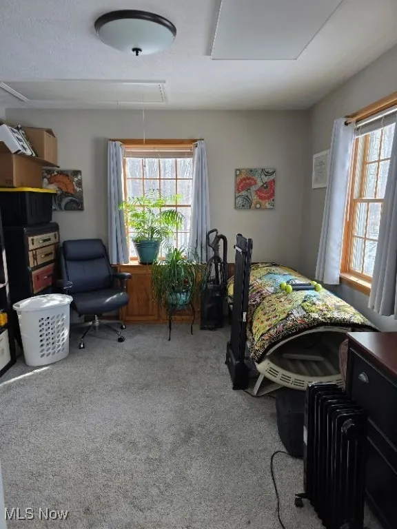 Carpeted bedroom featuring multiple windows and attic access